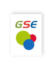 GSE PDF