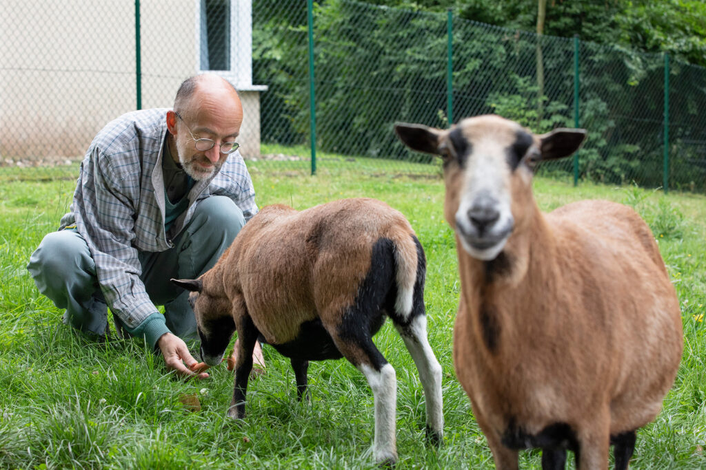 Haus am Hedwig Dransfeld Platz02
