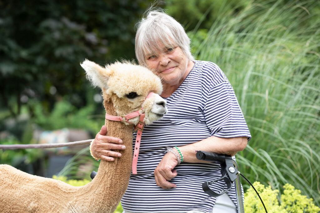 Bewohnerin kuschelt mit einem Alpaka