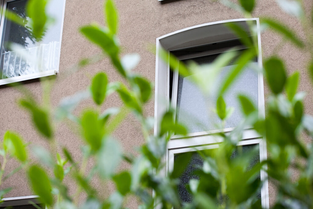 Ein Wohnungsfenster mit einer Pflanze im Vordergrund.